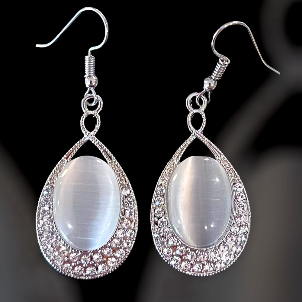 Paparazzi Earrings! Accessorize!